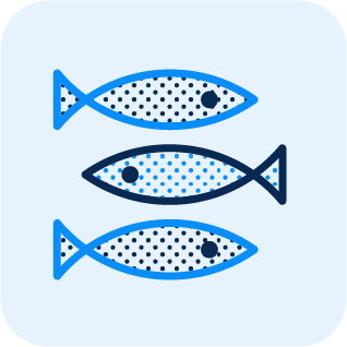 Fish Camp